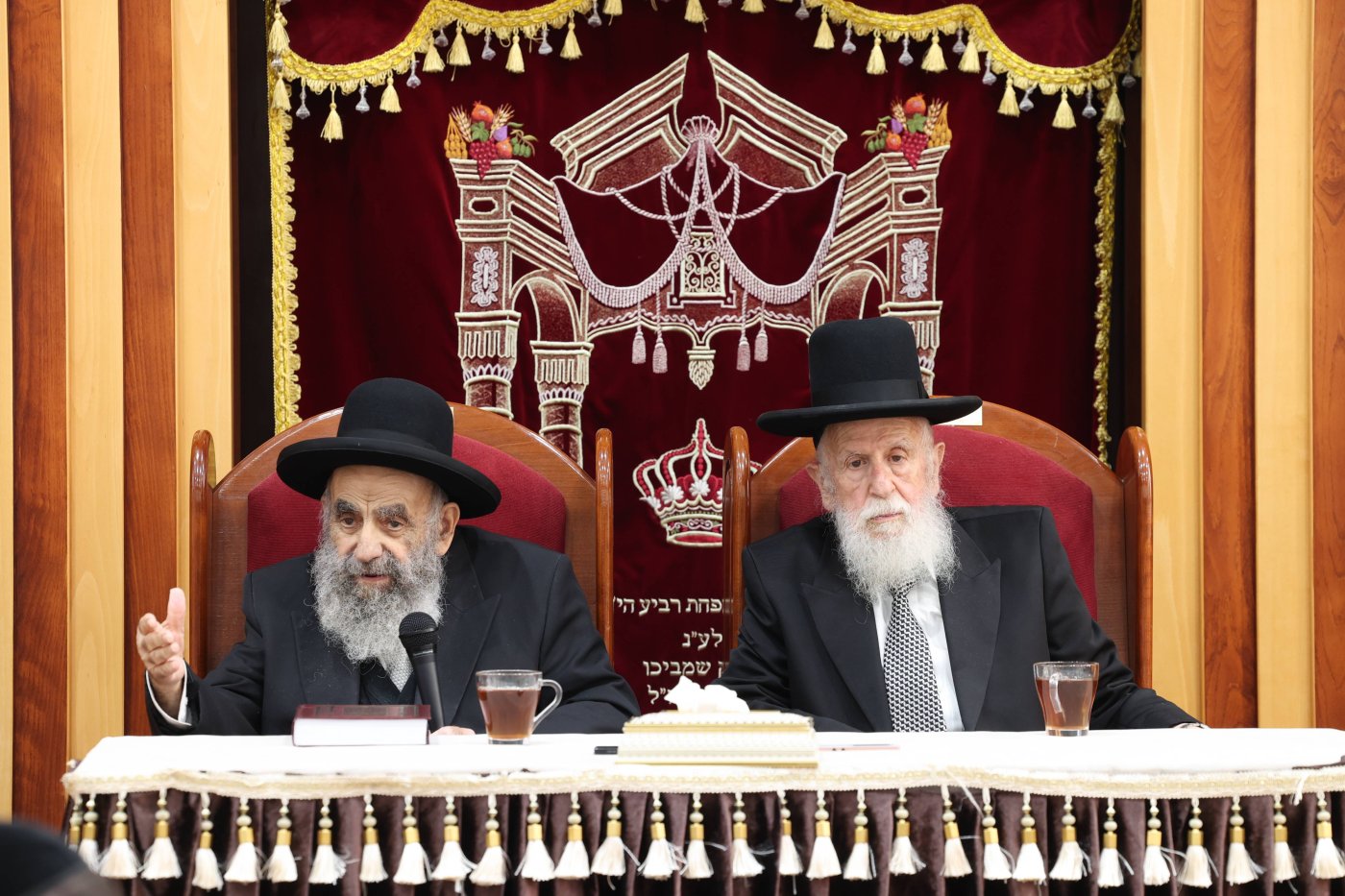 (צילום: דוד ארזני)