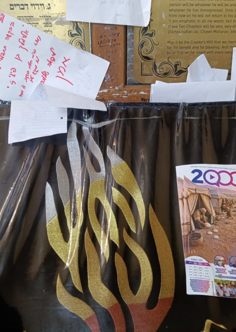 המגזין נצפה ב...