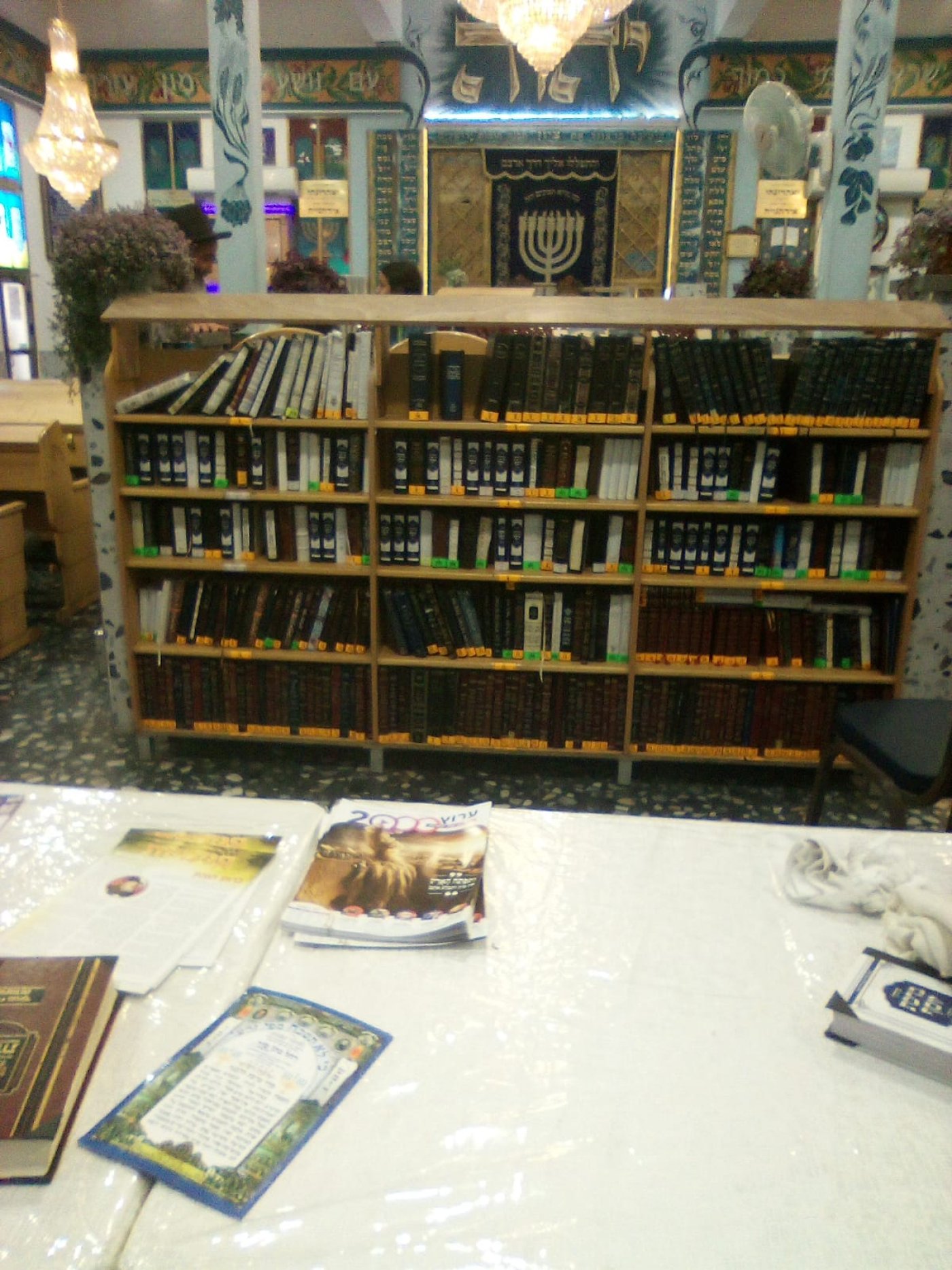 עותק של בבית מדרשו של  הרב דב קוק שליטא -טבריה