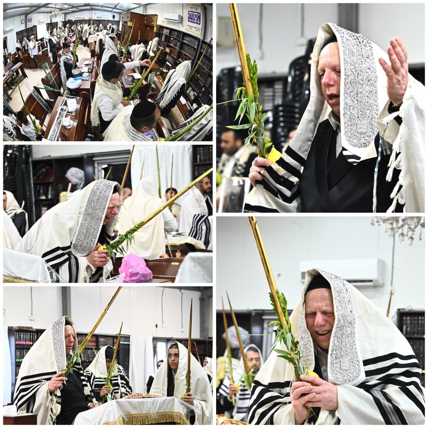 (צילומים: שוקי לרר)