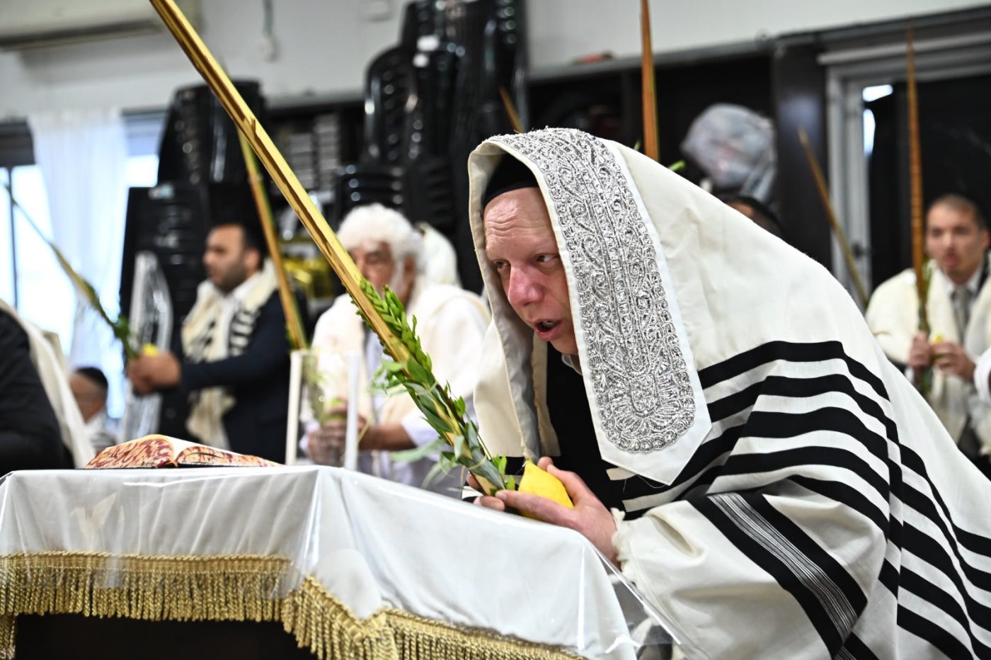(צילומים: שוקי לרר)