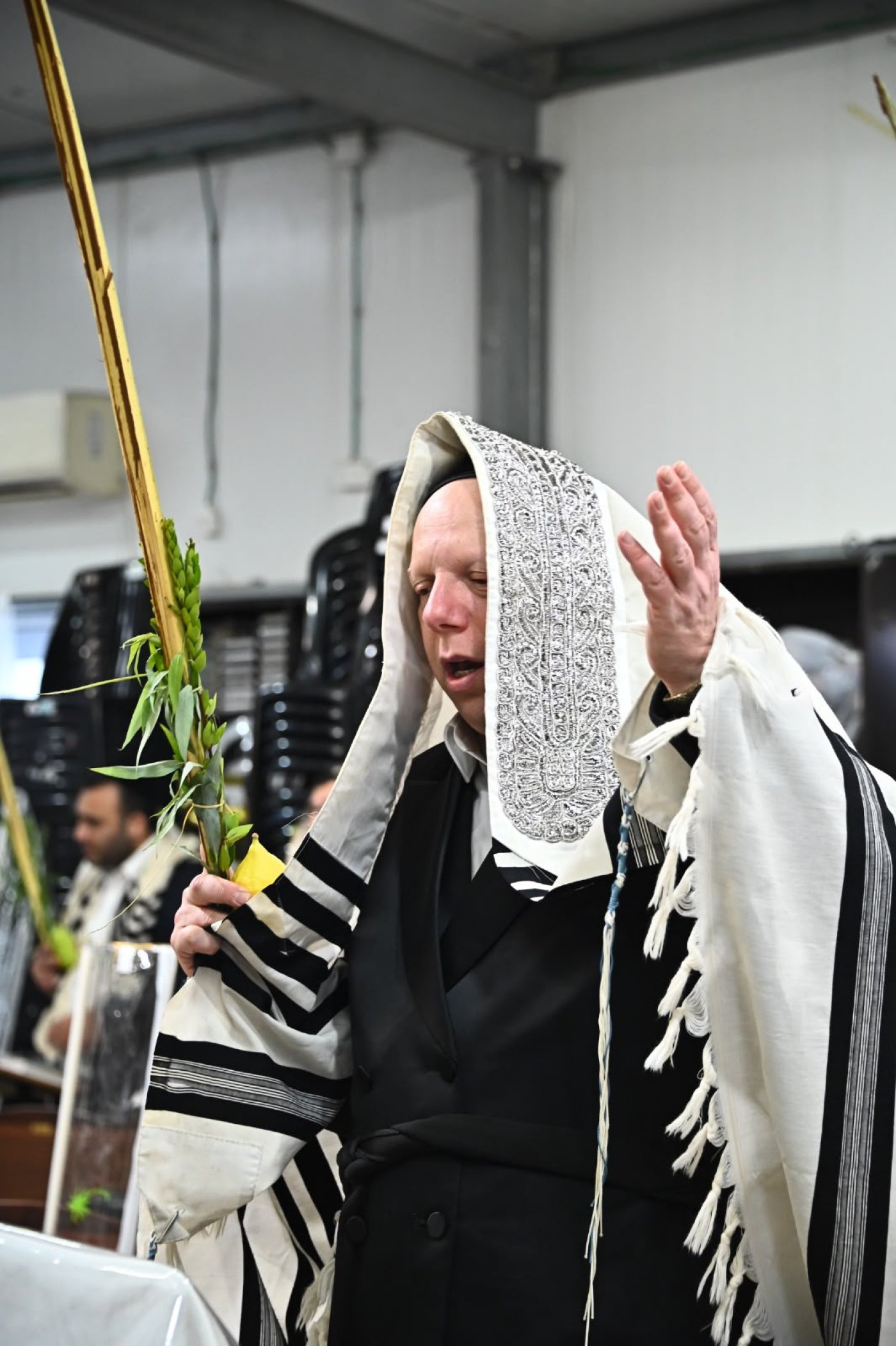 (צילומים: שוקי לרר)