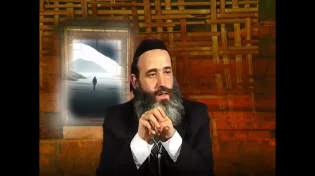 הרב פנגר: זה הסיפור על החתול 