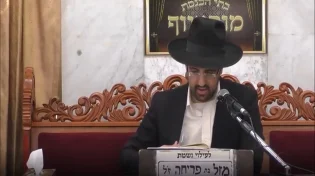 הרב מאיר אליהו - פרשת פנחס - התש"פ
