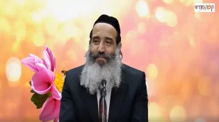 "האם יש דרך להוציא דבש מתוך העוקץ?": הרב פנגר