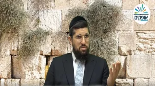 הרב אליהו עמר - למה המשיח מתעכב - ימי בין המצרים