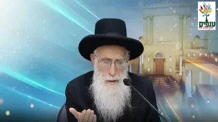 הרב יהודה יוספי - תשעה באב