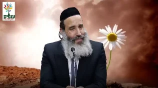 תתפלאו, אפשרי לפרוח גם במדבר: הרב פנגר