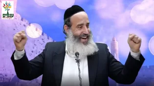 הרב פנגר: מי אשם?. צפו