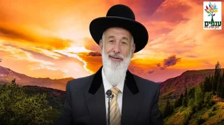  הרב יונה מצגר  - פרשת עקב 