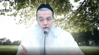 הרב יגאל כהן - פרשת ראה