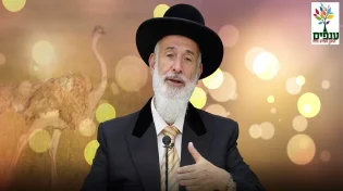 הרב יונה מצגר - פרשת ראה