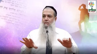 הרב יגאל כהן - הדרך לניצחון של החיים - מה שתרצה - תקבל!
