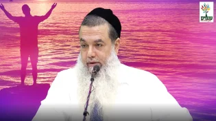 הרב יגאל כהן - פרשת כי תבוא