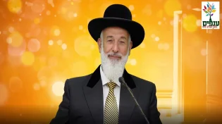 הרב יונה מצגר - לכבוד הילולת הבן איש חי - לפרשת כי תבוא