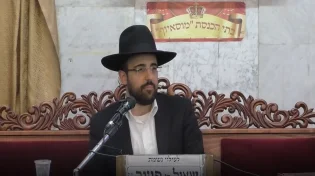 הרב מאיר אליהו - תשליך בראש השנה - תשע״ז