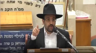 הרב מאיר אליהו - תרבות רעה בביתו