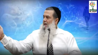 הרב יגאל כהן - תשמח במה שאתה - אין כמוך בעולם!