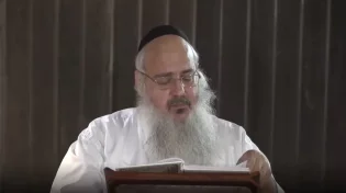 הרב שלמה לוינשטיין - פנינים מפרשת בראשית תשפ"א