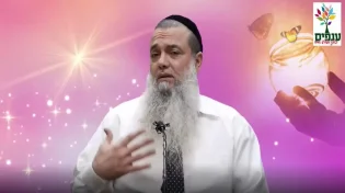 הרב יגאל כהן - אגרוף של אהבה