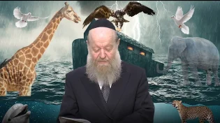 הרב יוסף צ. בן פורת - פרשת נח