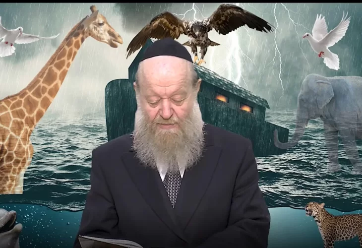 הרב יוסף צ. בן פורת - פרשת נח 