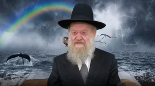 הרב יוסף צ. בן פורת - תגובות בעת משבר - פרשת נח