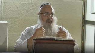 הרב שלמה לוינשטיין - פנינים מפרשת לך לך תשפ"א