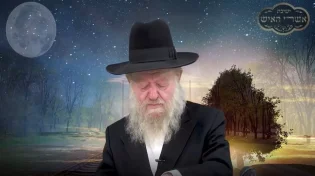 הרב יוסף צ. בן פורת - פרשת לך לך - רגליו של אדם מוליכות אותו