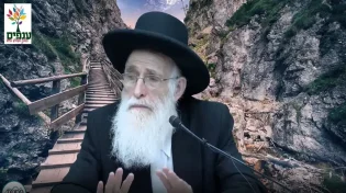 הרב יהודה יוספי - פרשת לך לך - סיפורים על אברהם אבינו!