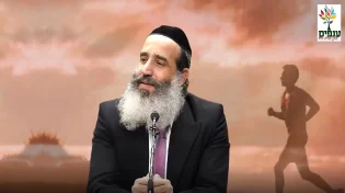 חלום ילדות: איך אפשר להגיע רחוק בחיים?