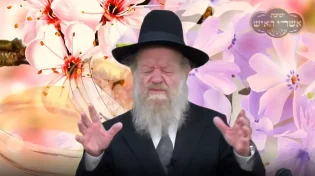 הרב יוסף צ. בן פורת - פרשת חיי שרה - בת זוג כיצד בוחרים?