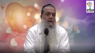 הרב יגאל כהן - להכניס אהבה לחיים