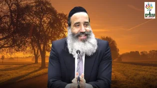 הר' יצחק: למה האריה הוא מלך החיות?