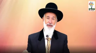 הרב יונה מצגר - פרשת תולדות