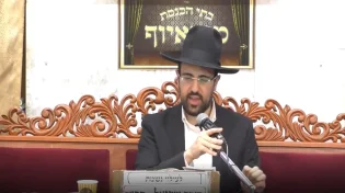 הרב מאיר אליהו - פרשת וישלח - התשע"ט