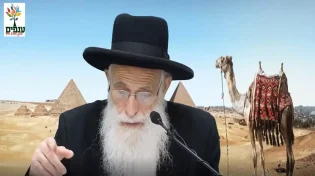 הרב יהודה יוספי - פרשת וישלח