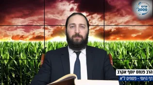 דף יומי: הדף היומי היום לצפיה - פסחים ל"א | הרב פנחס יוסף אקרב