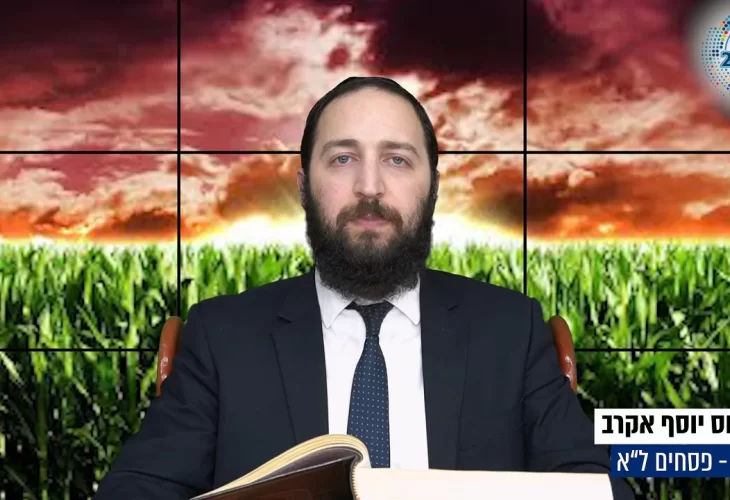 דף יומי: הדף היומי היום לצפיה - פסחים ל"א | הרב פנחס יוסף אקרב