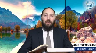 דף יומי: הדף היומי היום לצפיה - פסחים מ"ו | הרב פנחס יוסף אקרב