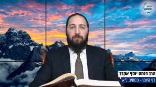 דף יומי: הדף היומי היום לצפיה - פסחים נ"א | הרב פנחס יוסף אקרב