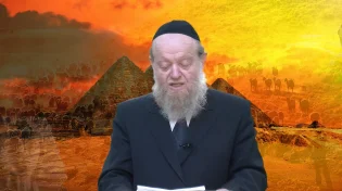 הרב יוסף בן פורת - פרשת וארא - הכרת הטוב