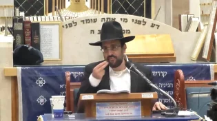 הרב מאיר אליהו - בני ובנות הים במקורות  כל שישנו על היבשה ישנו על הים