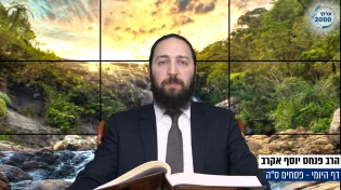 דף יומי: הדף היומי היום לצפיה - פסחים ס"ה | הרב פנחס יוסף אקרב