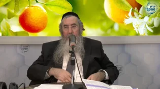 הרב דוד פריימן - מדהים כיצד הטבע של הילדים שלנו דומה לפירות האילן בט"ו בשבט!