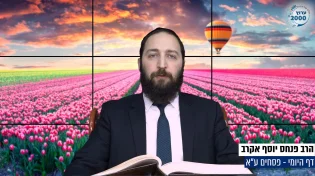 דף יומי: הדף היומי היום לצפיה - פסחים ע"א | הרב פנחס יוסף אקרב