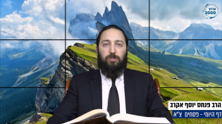 דף יומי: הדף היומי היום לצפיה - פסחים צ"א | הרב פנחס יוסף אקרב