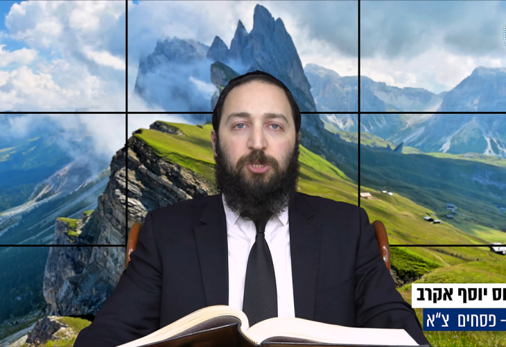 דף יומי: הדף היומי היום לצפיה - פסחים צ"א | הרב פנחס יוסף אקרב