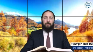 דף יומי: הדף היומי היום לצפיה - פסחים צ"ג | הרב פנחס יוסף אקרב