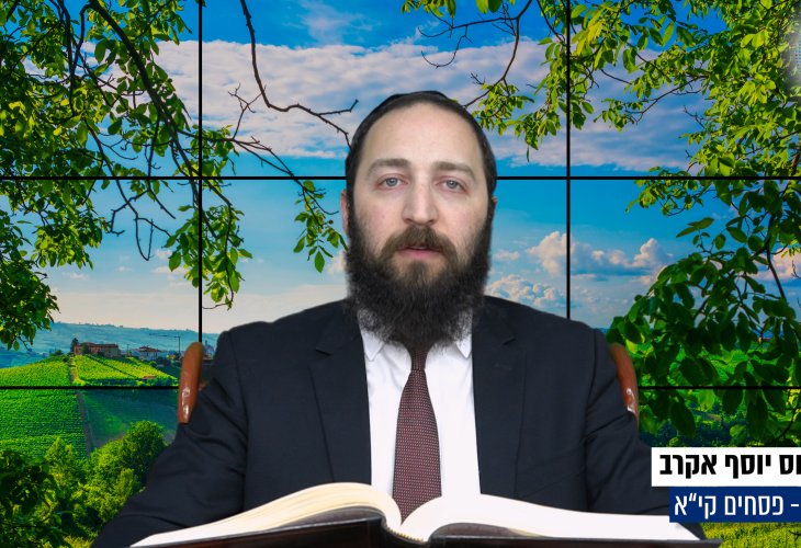 דף יומי: הדף היומי היום לצפיה - פסחים קי"א | הרב פנחס יוסף אקרב